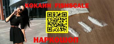 спиды Камышлов