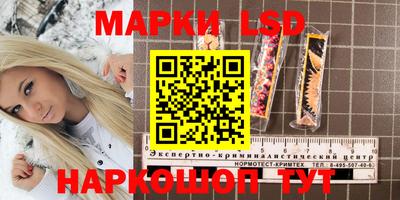 спиды Камышлов