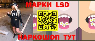 спиды Камышлов