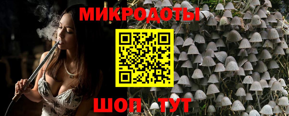 Галлюциногенные грибы Psilocybe Корсаков