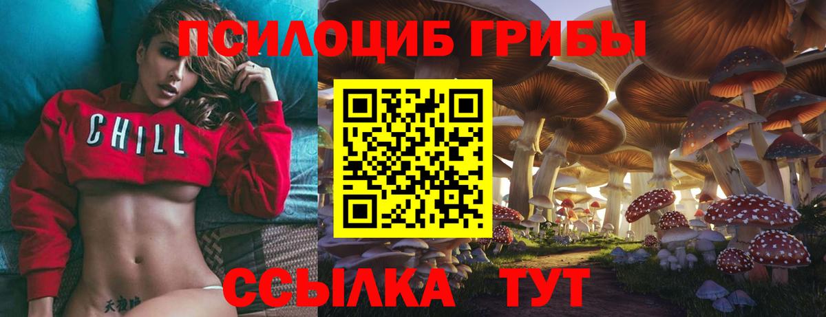 Корсаков  Псилоцибиновые грибы Magic Shrooms  Вход с VPN 